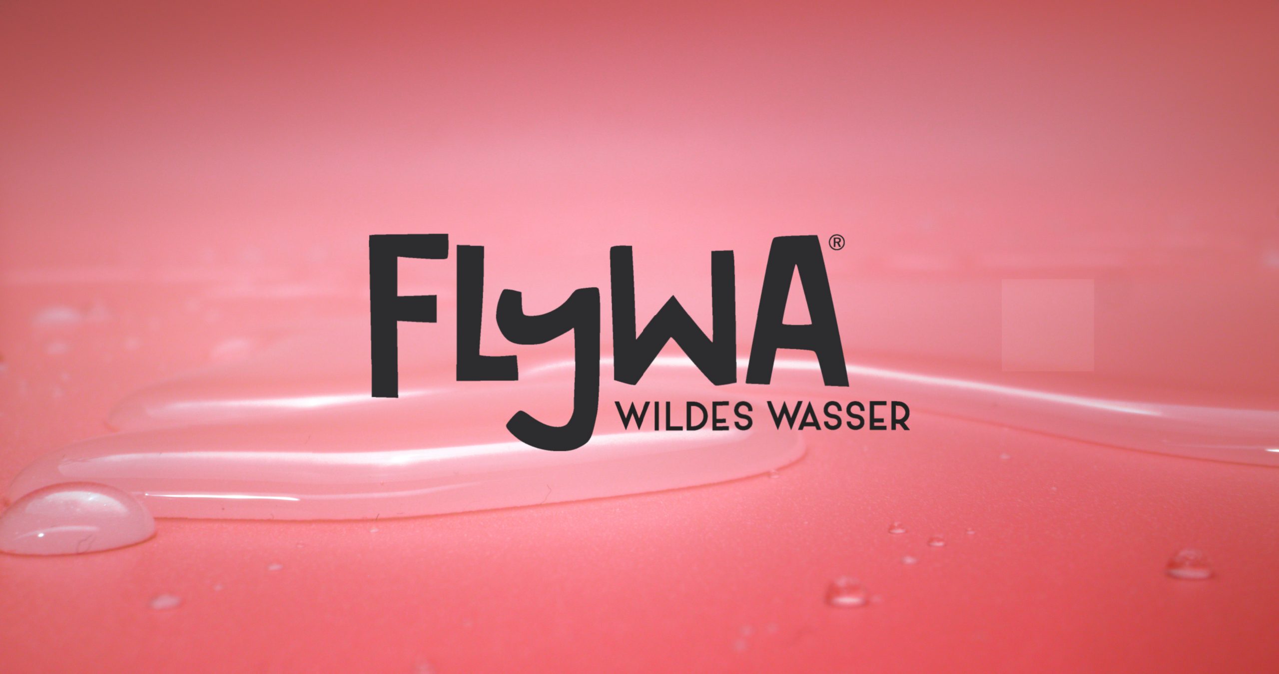 Flywa